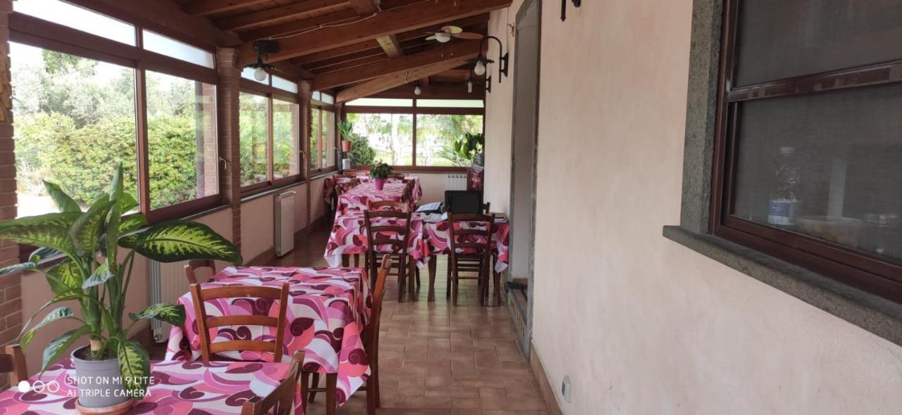La Piana Di Alsium Villa Ladispoli Exterior foto