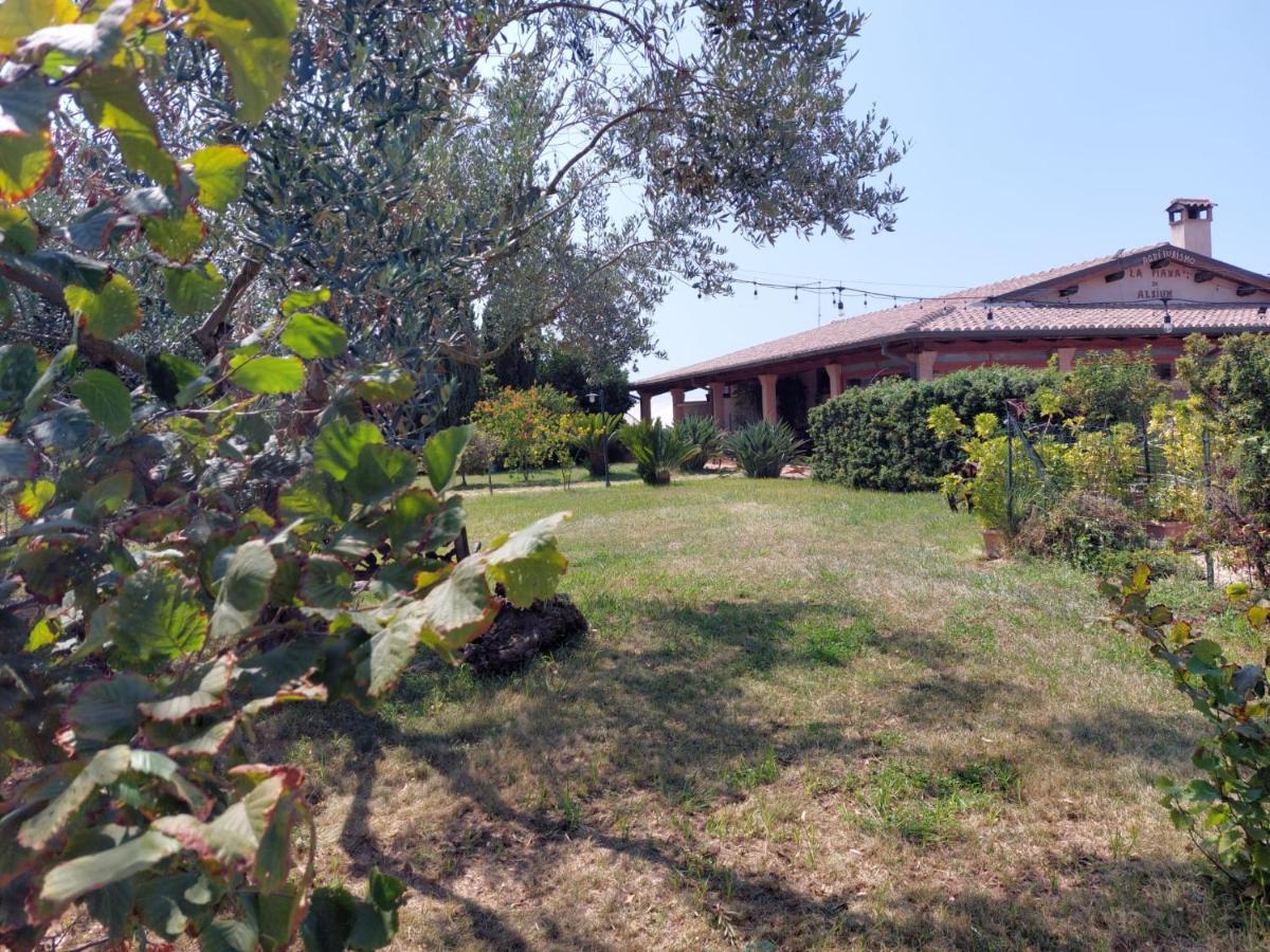 La Piana Di Alsium Villa Ladispoli Exterior foto