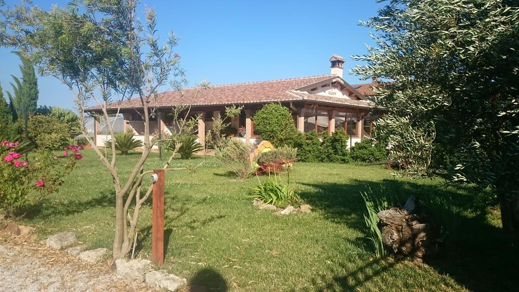 La Piana Di Alsium Villa Ladispoli Exterior foto